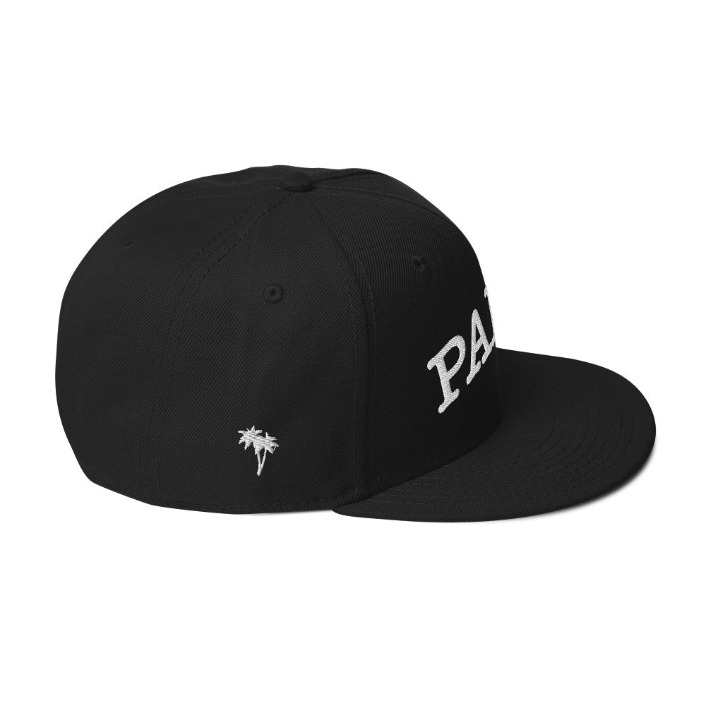 Paire Varsity Snapback Hat