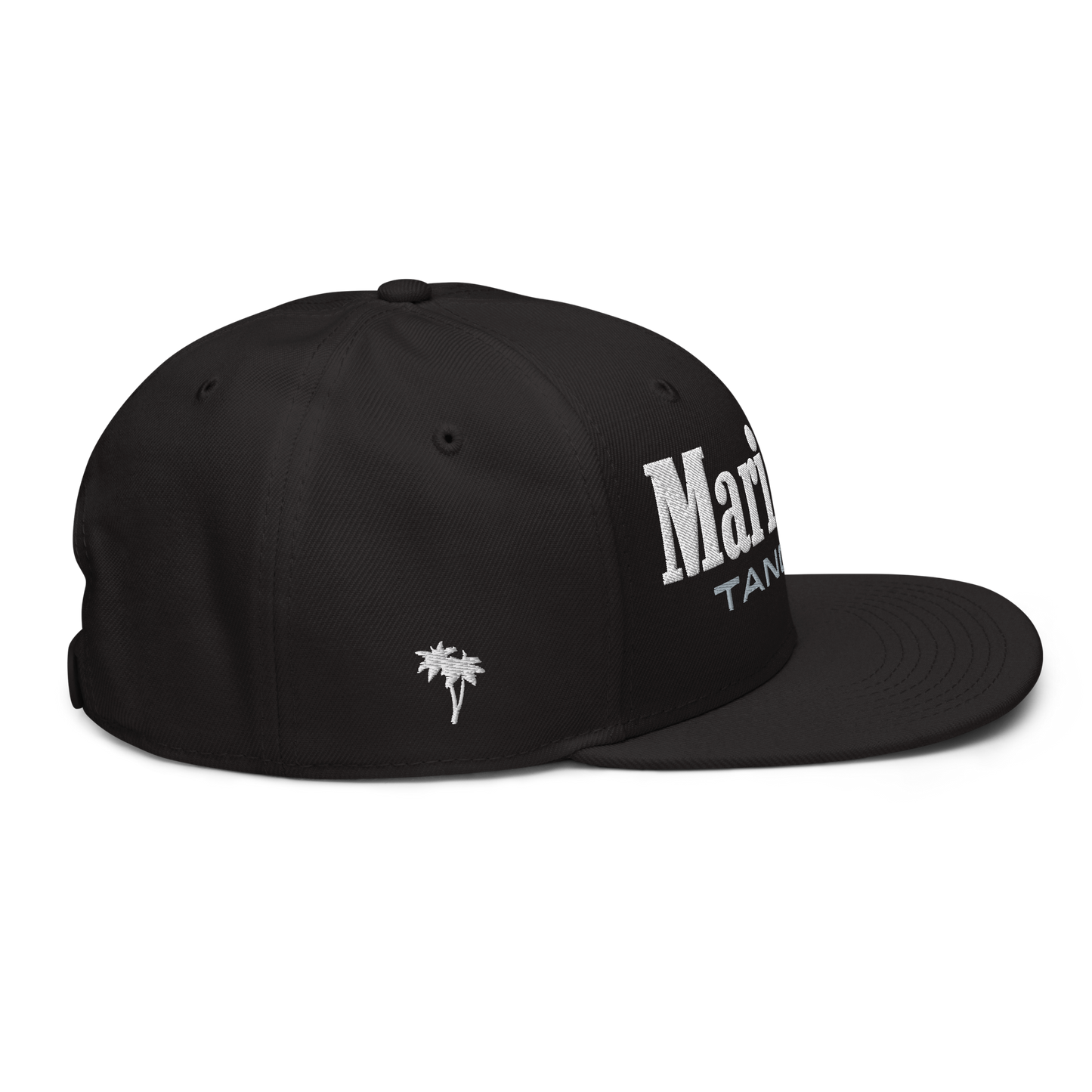 Paire MTT Black Snapback Hat
