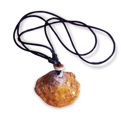 Banidosu Shells - Spondylus Pendant Necklace